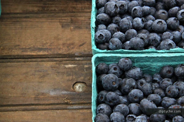 Farmers Market Blueberry Fresh Produce Kitchen Decor Wall Art Diptych (4" x 6" Fine Art Photo Print / Notecard)