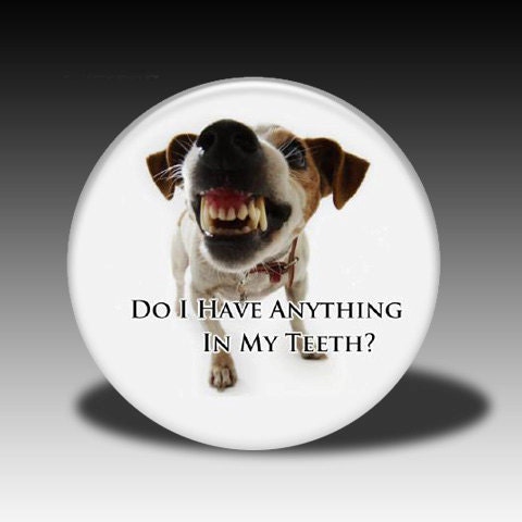 Do I Have Anything in My Teeth - Mirror, Magnet, Bottle Opener or Pin