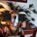 Peacock Queen of the Nile Fantasy headdress headpeice wig drag wig feathers beaded lolita steampunk burning man