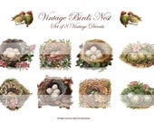 VINTAGE BIRDS NEST -  Set of  8 Vintage Diecuts - Digital Collage Sheet - Bird - Scrapbooking
