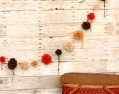 Pom Pom Garland (5 Ft Banner)