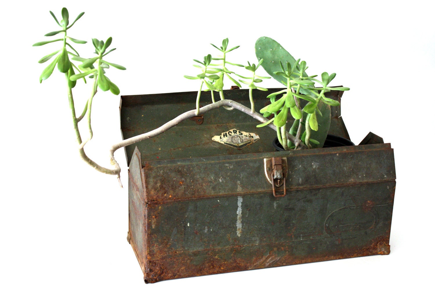 Vintage Green Industrial Toolbox - storage, planter, industry, farm fresh, tool box, vintage, rusted, rusty, weathered