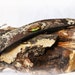 Metallic Snakeskin Leather Cuff Bracelet