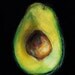 Avocado----Giclee, Archival, Matted Print of an Original Oil Pastel Painting of an Avocado Half with Pit