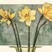 Daffodils Art Print, Daffodils, Daffodil Art Print, 8x10, Flower Art, Flower Illustration, Home Decor