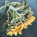 Sunflower Print, Flower Print, 8x8 Painting, Yellow and Blue Art Print, Home Decor, Summer Flower Print