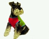 Hot Pink and Lime Green - Lightweight Jersey - Favorite Style Custom Dog Shirt