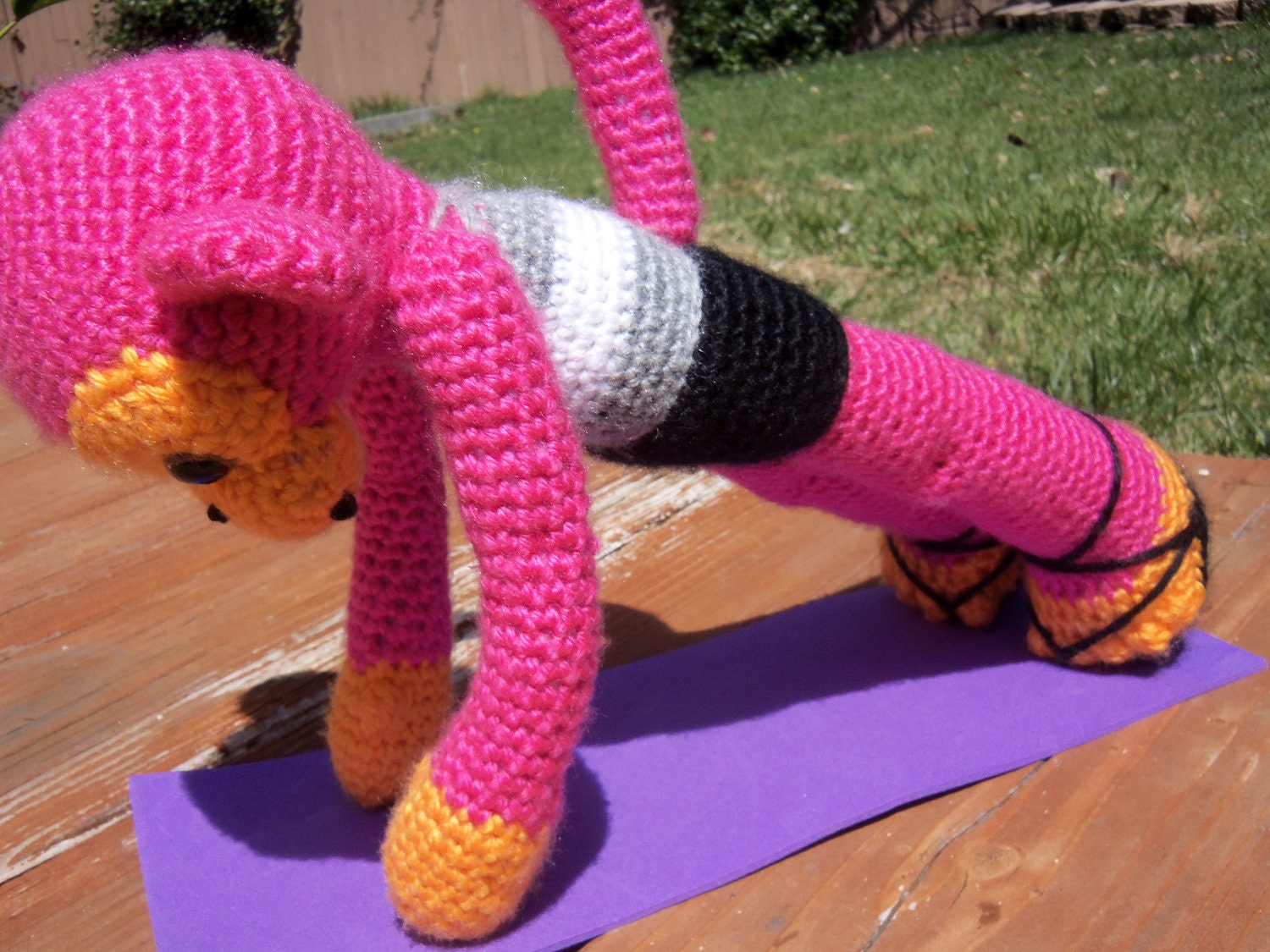 Hana the Monkey loves Yoga