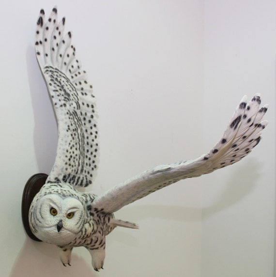Bird Carving Owl - Hand Carved Full-Size Snowy Owl Wall Mounted on Walnut Plaque