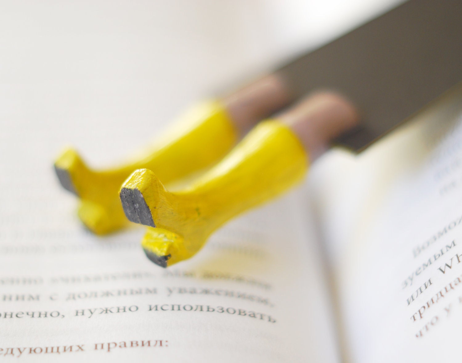 Yellow rainboots in the book. Legs in the book. back to school. Funny gift . for children, teacher