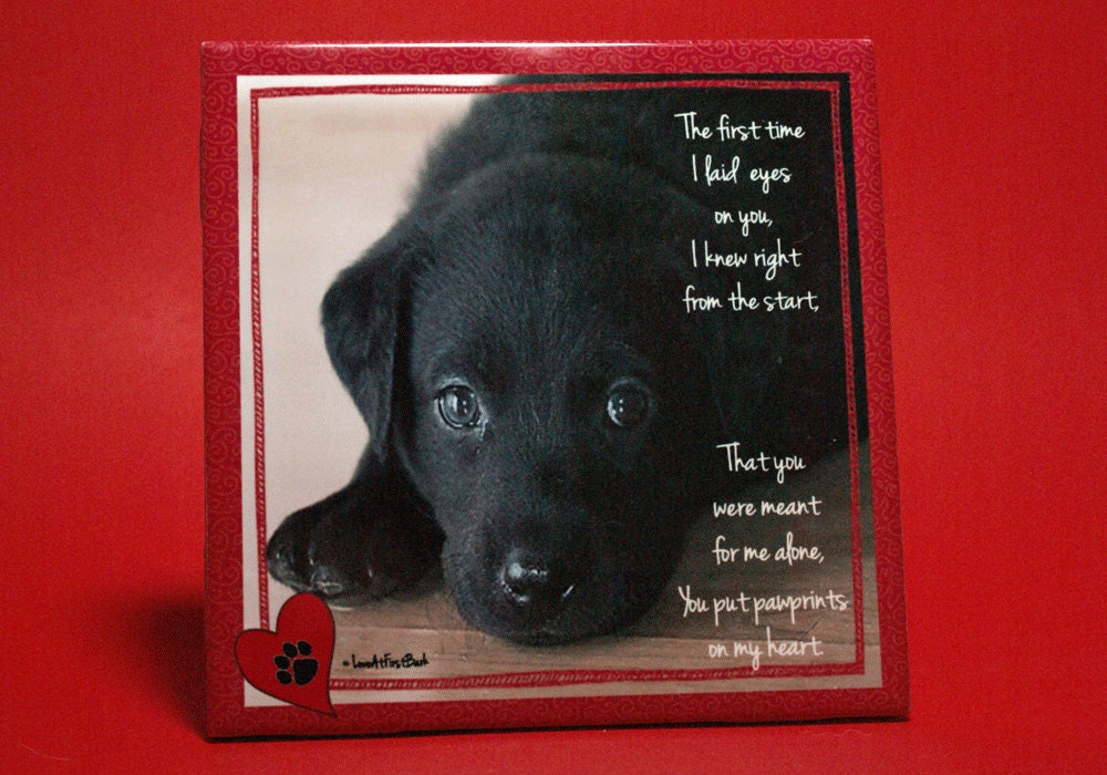 Black Lab Valentine