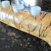 Colorado Aspen Wood Log Candle Holder
