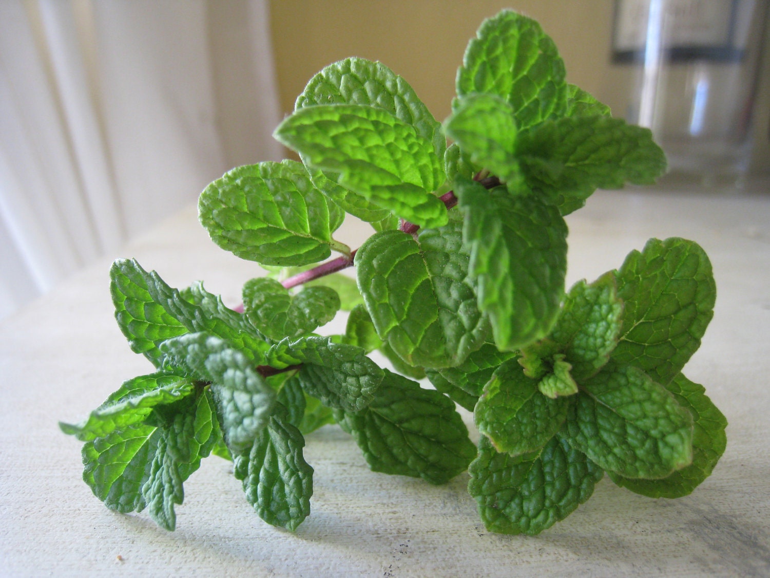 Peppermint Herbal Clay Tooth Powder