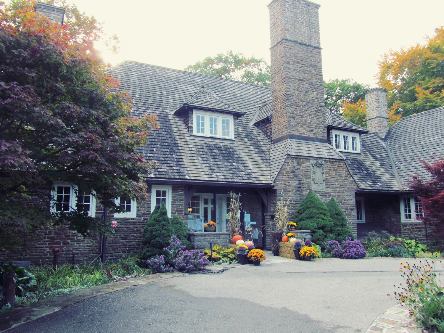 Autumn Fall Festive Holiday Brick House Pumpkin Purple Vintage Fine Art Photography -  5 x 7