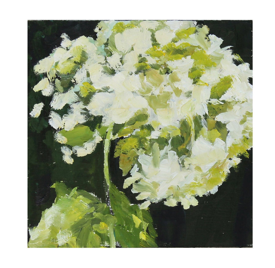 Original Oil Painting Still Life Hydrangea flower on wood panel  8x8 inches