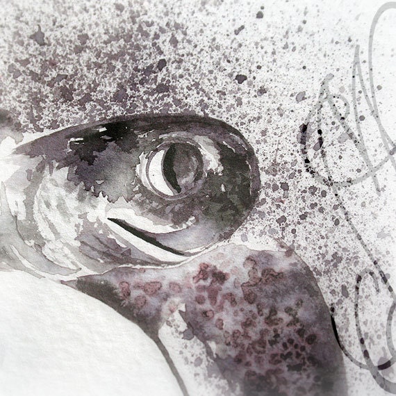 Martinefa's Original watercolor and Ink Turtle "Tortue"