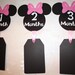 Minnie Mouse Monthly Pictures