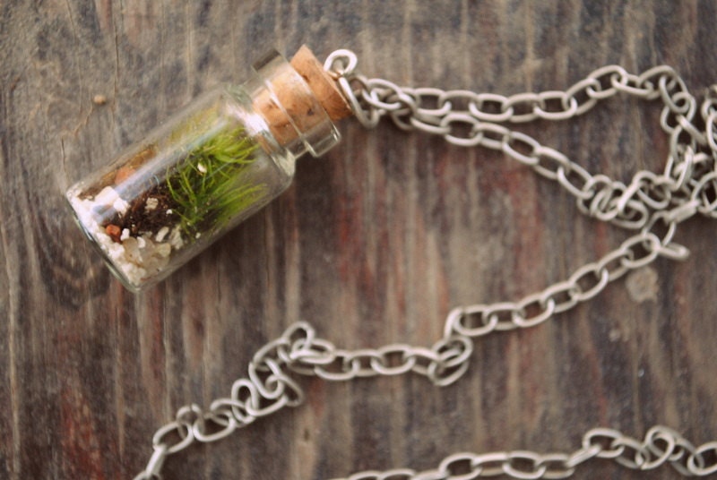 The Tiny Terrarium Necklace with live kentucky moss