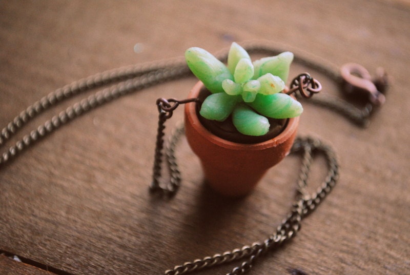 Clay Planter Succulent Necklace