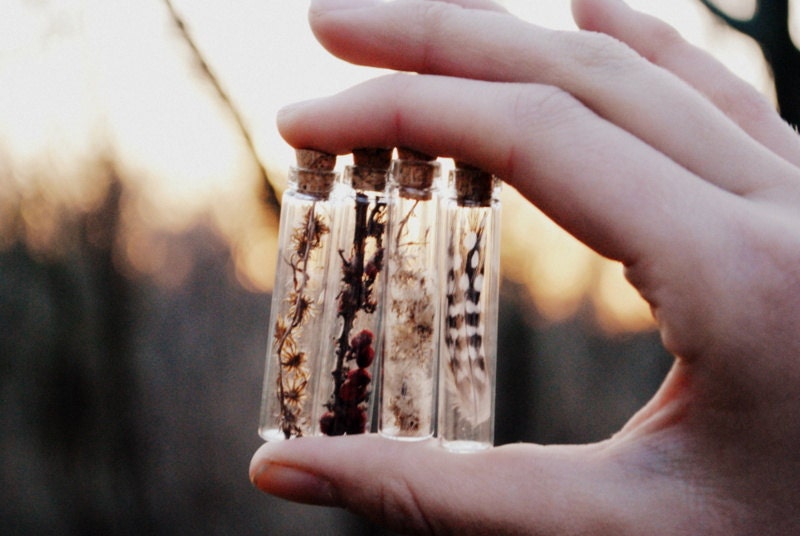 Wild Specimen Necklace