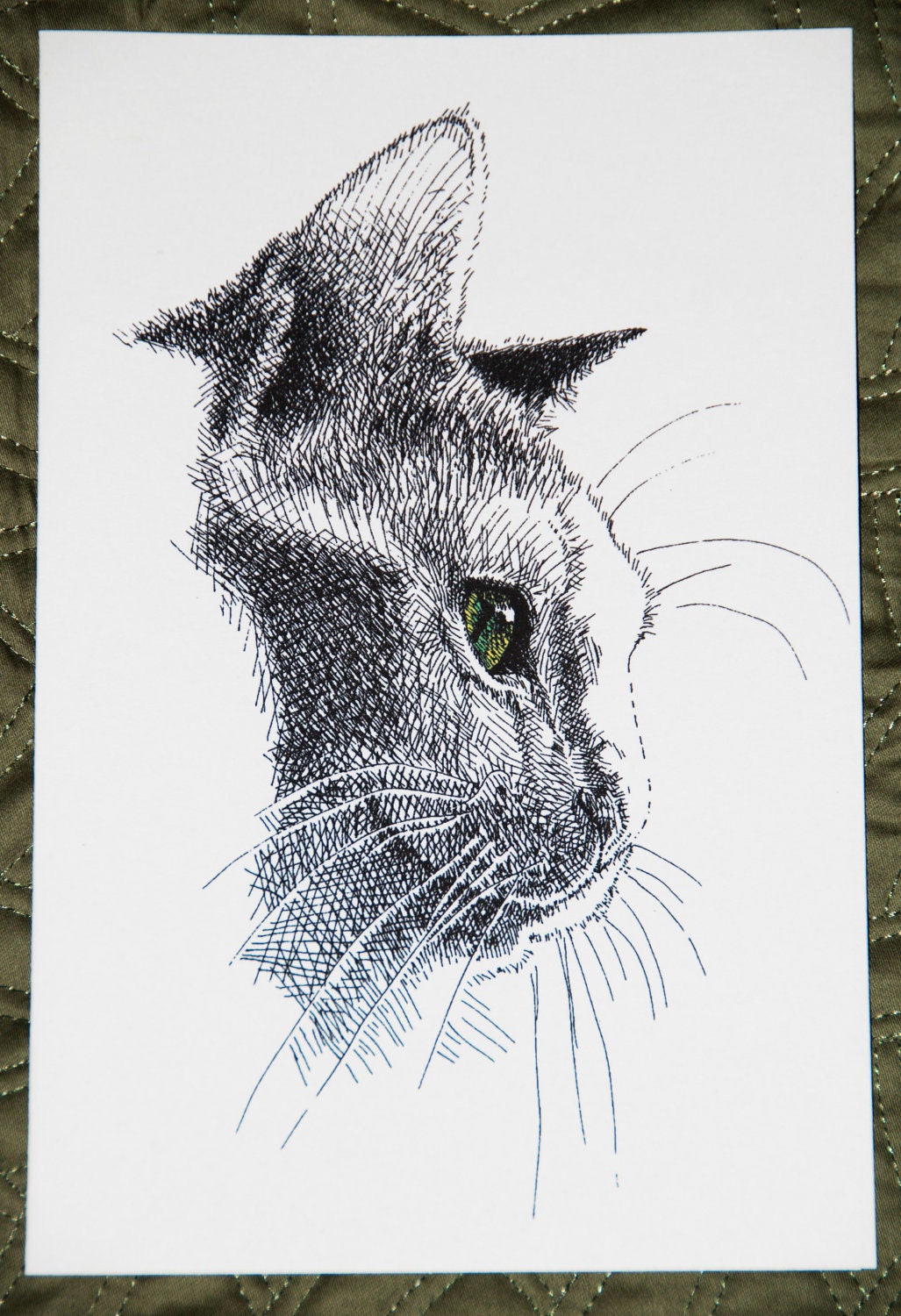Set of eight line art cards, 5.5 by 8.5, blank inside, pen and ink cat with colored eye