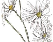 White Daisies Painting, Fine art print 8x10