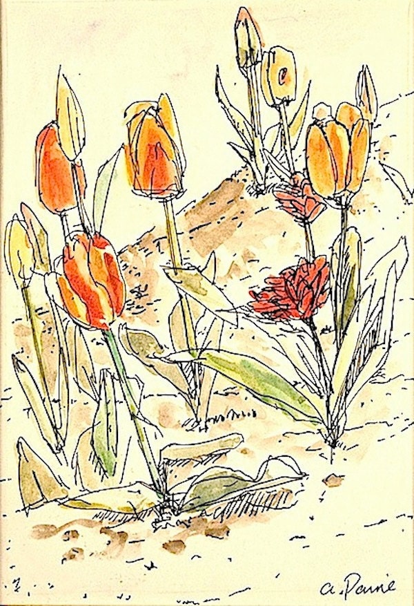 Red and orange tulips, original matted, framed watercolor flower painting 9x12