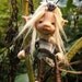 sweet fairy fairie bug posable ooak
