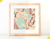 Blossom Print no 1, 8x8 in fine art Spring Photo