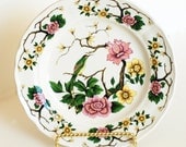 Vintage Bird of Paradise 7inch desert plate Grindley of Stoke GREEN BIRD