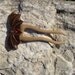 Hand Carved Wooden Hair Sticks Fork Hair Bat Accessory MariyaArts
