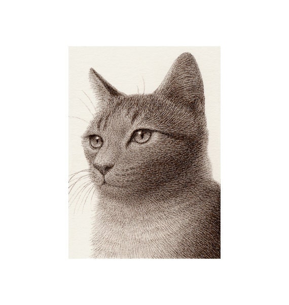 ACEO Original - Pure Pen Drawing 74 - Cat V
