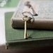 skeleton key necklace. key to the secret garden collection. brass. extra long chain.