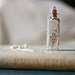 botanical vial necklace specimen corked top wildflower on an extra long 35 inch silver chain.spring summer garden real pressed flower