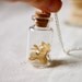 botanical vial necklace preserved specimen corked top whimsical hydrangea extra long 35 inch silver chain. winter garden real pressed flower