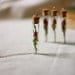 botanical vial necklace preserved specimen corked top romantic rosebud. beauty and the beast
