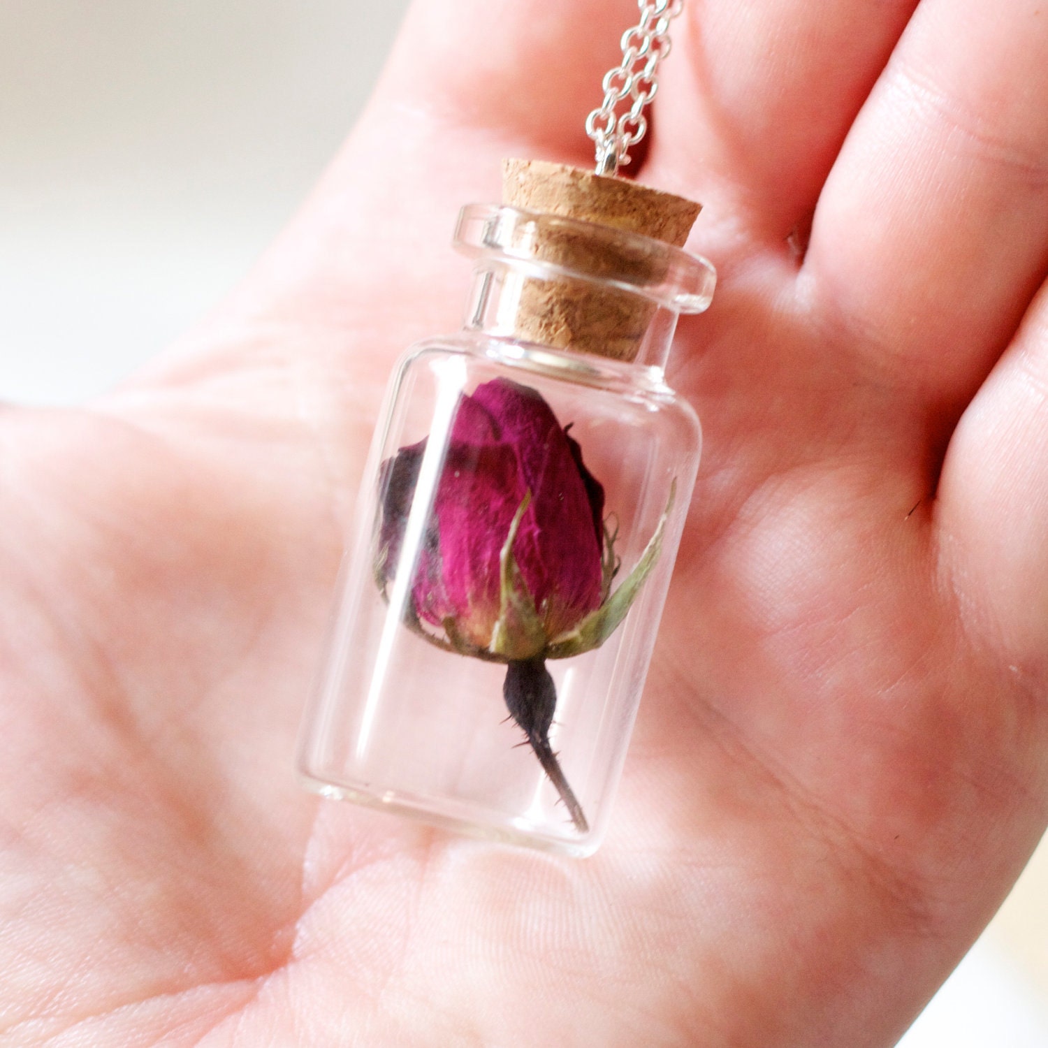 botanical vial necklace preserved specimen corked top romantic rosebud on extra long 35 inch silver chain. beauty and the beast
