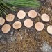 Oak path Goes With A Fairy Door, Gnome Door, Hobbit Door, Elf Door, Troll Door.