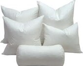 2 Custom Pillow Inserts for Bill