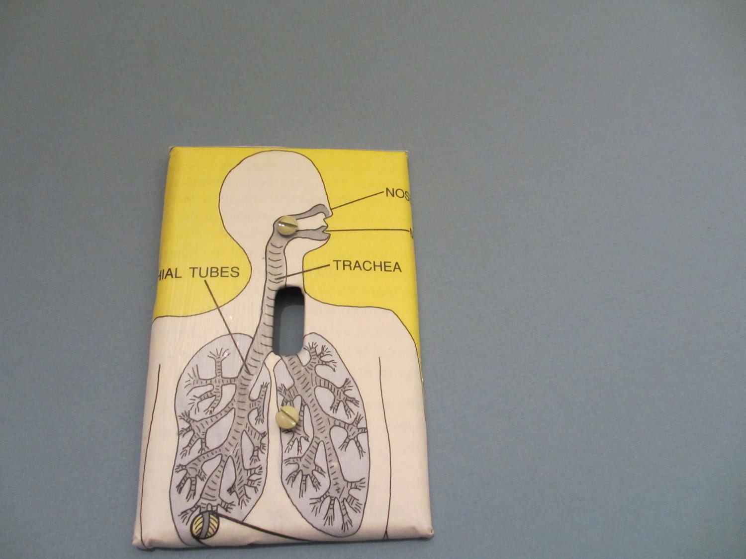 Lungs Switchplate