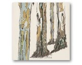 Tree Art 24x24 Giclee print eucalyptus tree art trunks bark fine art print reproduction home decor office art gift wall decor