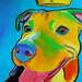 Pop Yodel - Original Dog Portrait PRINT 11 x 14 - By Corina St. Martin