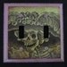Dia De Los Muertos Double Light Switchplate