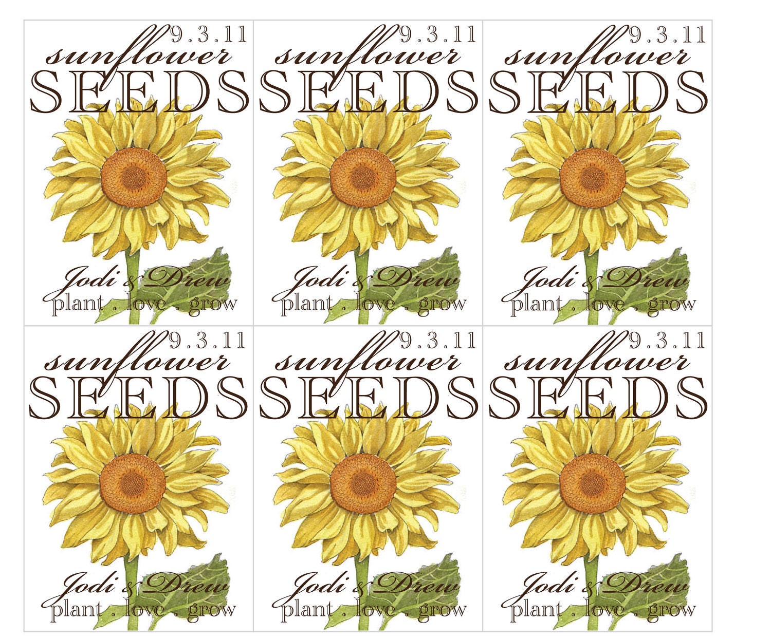 Sunflower Seed Packet Favors