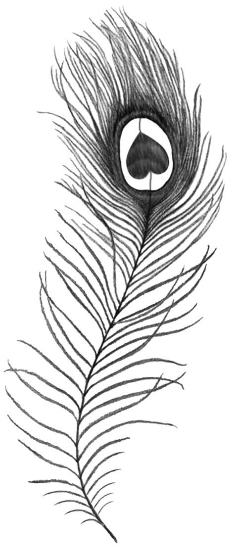 Peacock Feather temporary tattoo