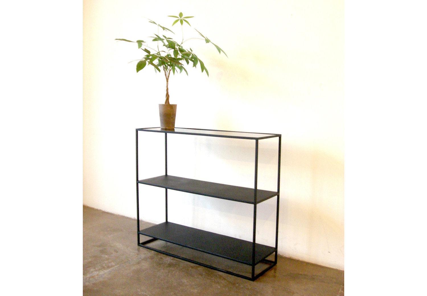 Bookcase / Console - Steel and Black Glass