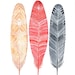 Watercolor Feather Painting - Feathers Art - Archival Print - Red, Peach, Gray
