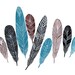 Jewels Feather Collection - Original Watercolor Painting