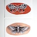 Two Moths - Watercolor Painting - Archival Art Print