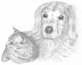 Custom Pet Portrait from your Favorite Photograph